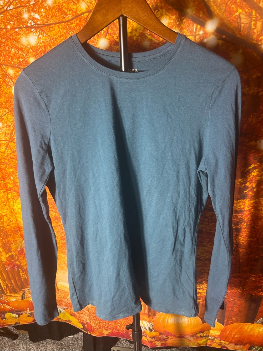 Mossimo Supply Co. Women's Long-Sleeve Crewneck in Slate Blue